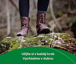 Ilustrační obrázek